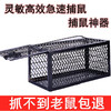 老鼠笼捕鼠器捉耗子神器捕鼠笼 商品缩略图7
