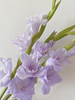 香芋紫剑兰（5月27日下午取花），超美超喜欢，花瓣的纹路像被画师细细描绘过，一束5支原价68元，团购价18元 商品缩略图3