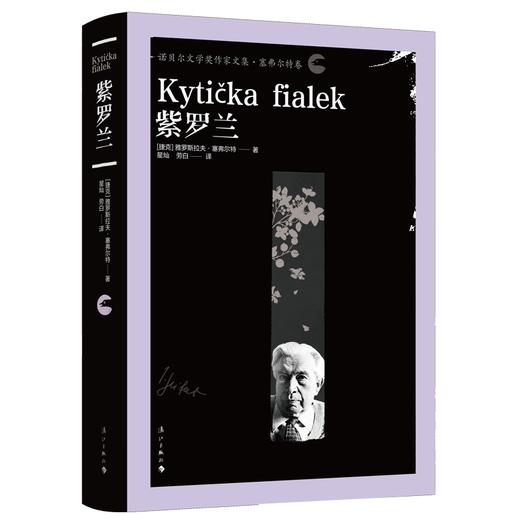 紫罗兰 商品图0