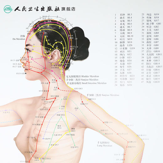 经络穴位挂图（女性版） 人卫社参考书 商品图3