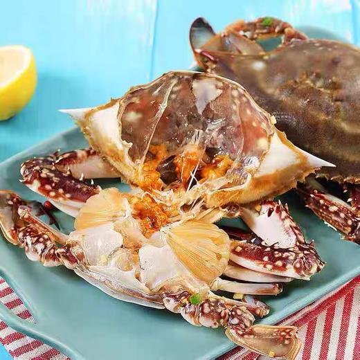 东港上黄儿母飞蟹  50%-60%左右，单只3两上下 商品图1