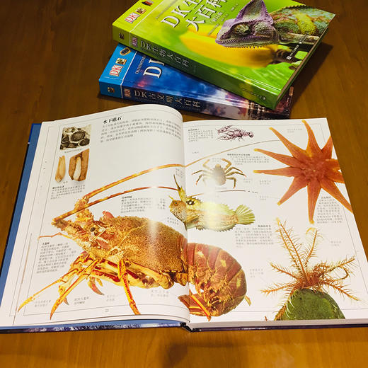 【俞敏洪老师推荐】DK地球大百科（修订版）宇宙自然界地球知识百科全书 科技探索 少儿科普百科 总览世间万物书籍 商品图3