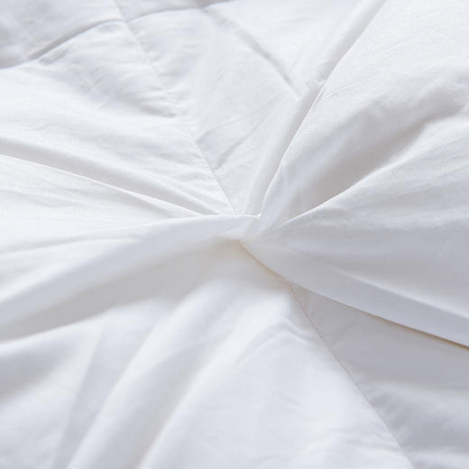 【48小时发货】自然醒羽绒被95%白鹅绒被芯冬被被子棉被ZH 商品图4