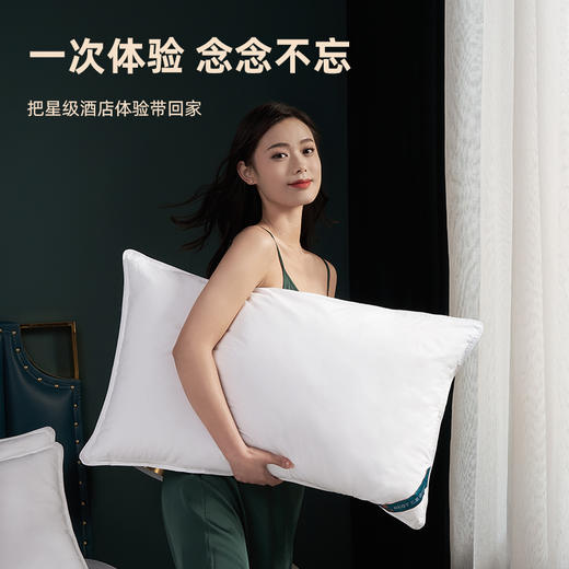 [酒店同款]百士德BEST五星酒店枕芯-羽丝绒枕芯100%纯棉防羽布 商品图2