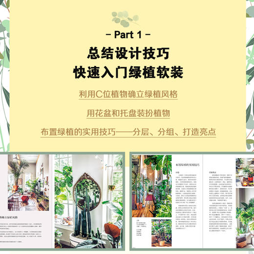 植物风格1 绿意空间：绿植软装设计与养护 商品图1