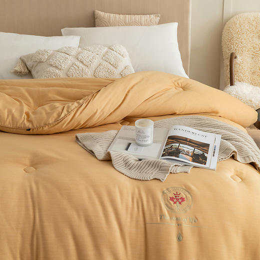 自然醒柔护养参被子加厚保暖抗寒冬被人参滋补被双人加大冬季被LFS 商品图2