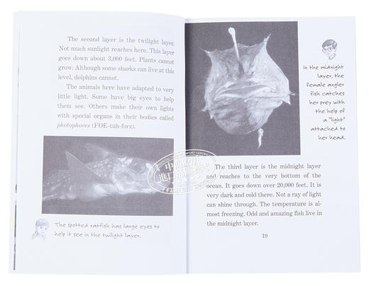 预售 【中商原版】神奇树屋小百科系列1-15册 Magic Tree House Fact Tracker 15册 商品图4