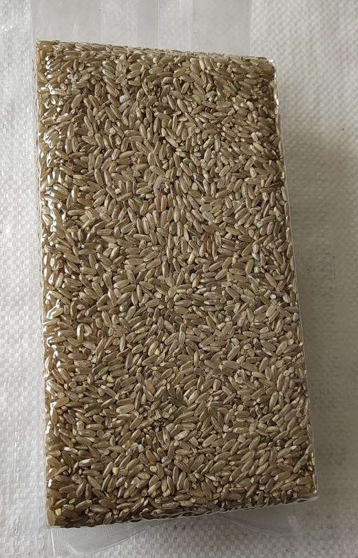 五常稻花香酵素大米 黑米 糯米 糙米 自留种 不打药 通过306项农残检测 商品图4