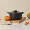 66040-220 双立人Dragon 铸铁饭釜锅22厘米 哑光黑 商品缩略图4