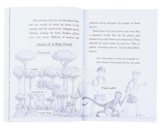 预售 【中商原版】神奇树屋小百科系列1-25册 Magic Tree House Fact Tracker 25册 商品图3