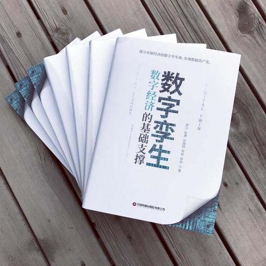 数字孪生:数字经济的基础支撑 商品图2