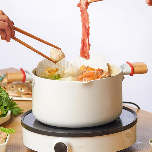 悦味汤锅 元素系列家用燃气电磁炉炖锅 多功能不粘煮粥锅双耳火锅 商品图1