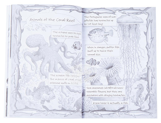 预售 【中商原版】神奇树屋小百科系列1-15册 Magic Tree House Fact Tracker 15册 商品图7