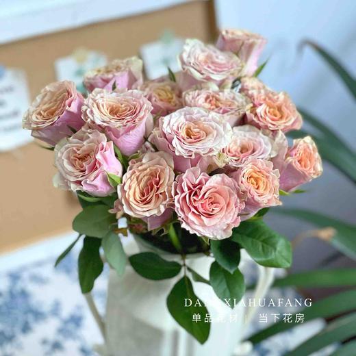 【旧时光玫瑰.7份福利秒杀】18支送2支/份   颜色像微微泛黄的老照片   带点复古感的粉橙复色 商品图1