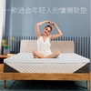 记忆棉床垫款凝胶慢回弹记忆棉地铺榻榻米家用租房褥子软垫 商品缩略图0