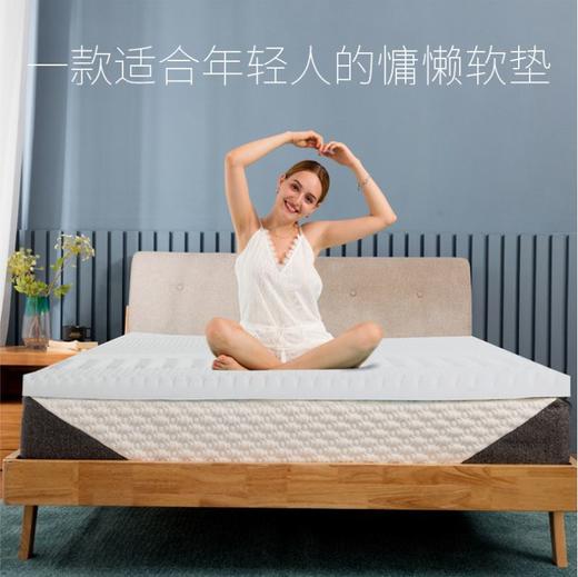 记忆棉床垫款凝胶慢回弹记忆棉地铺榻榻米家用租房褥子软垫 商品图0