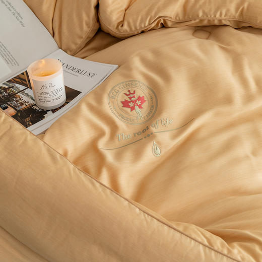 自然醒柔护养参被子加厚保暖抗寒冬被人参滋补被双人加大冬季被LFS 商品图4