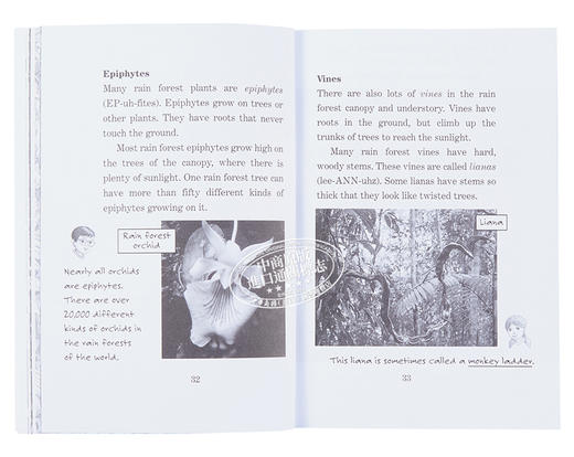 预售 【中商原版】神奇树屋小百科系列1-25册 Magic Tree House Fact Tracker 25册 商品图5