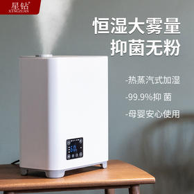 星钻加湿器大雾量杀菌静音孕妇婴儿家用客厅香薰加湿机出口
