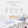 【恐龙厅】B7 丨F恐龙N11D柔赛丝95%白鹅绒被厚 商品缩略图5