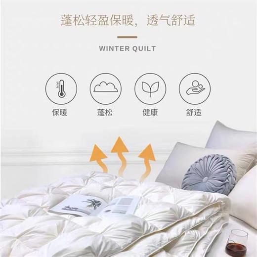 【恐龙厅】B7 丨F恐龙N11D柔赛丝95%白鹅绒被厚 商品图5