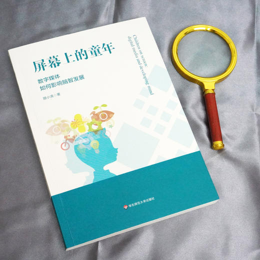 屏幕上的童年 数字媒体如何影响脑智发展 顾小清著 新媒体时代儿童教育 教育干预 青少年脑力智力发育 正版 商品图1