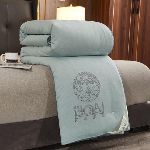 限量仅8斤规格有货【黄金蚕丝被】-CSYP 商品图2