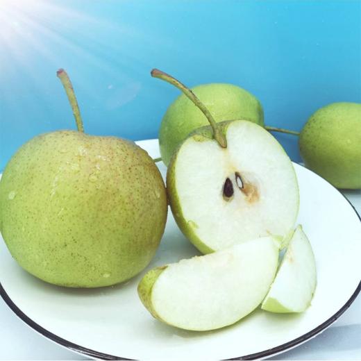 黄陵翡翠梨礼盒装12枚大果7斤装 商品图2