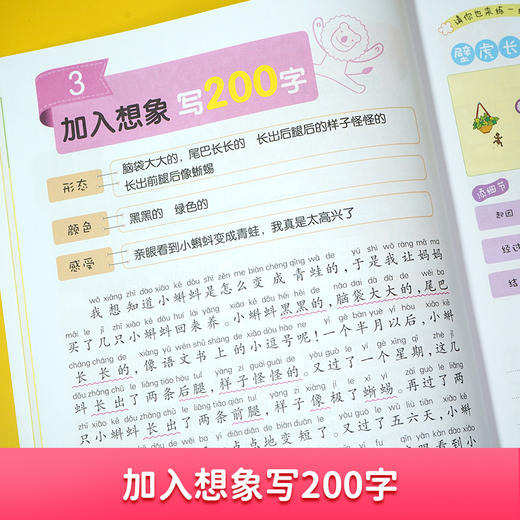 【开心图书】从20字到200字看图写话+日记起步+作文起步全6册 商品图9