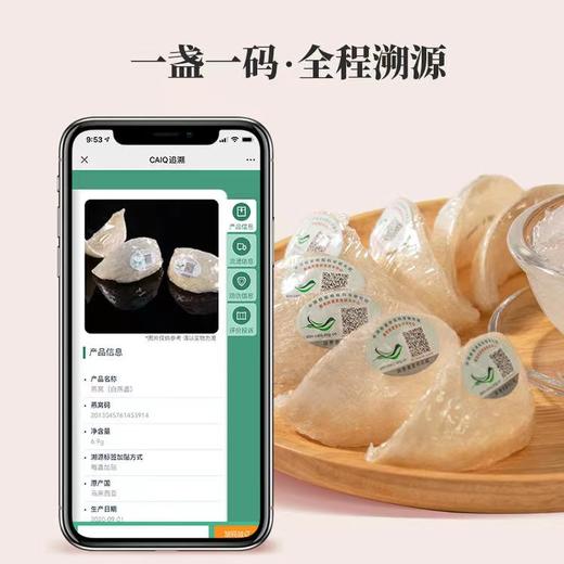 白燕窝燕盏 干燕窝 马来西亚 可溯源 100克 商品图1