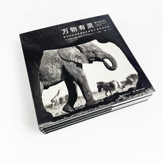 后浪正版 万物有灵：国际野生生物摄影年赛第51届获奖作品 动物摄影自然摄影艺术书籍 商品图14
