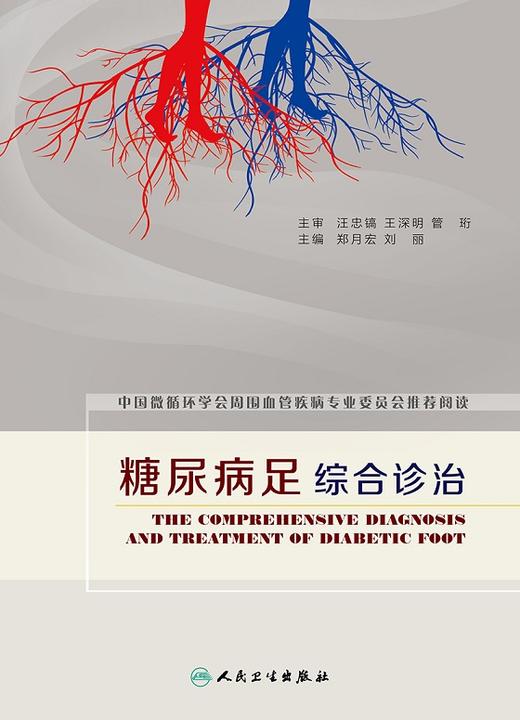 糖尿病足综合诊治 郑月宏 刘丽 主编 9787117234979 2016年11月参考书 人民卫生出版社 商品图1