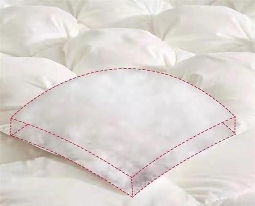 【恐龙厅】B7 丨F恐龙N11D柔赛丝95%白鹅绒被厚 商品图3