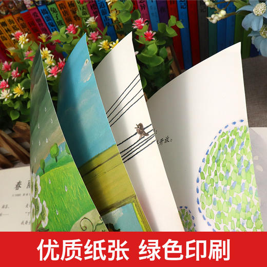 蝴蝶豌豆花 中国经典童诗金波著 一年级阅读课外书必读 3-6-8岁儿童书籍老师推荐小学生一二年级启发精选绘本冰心儿童文学非注音版 商品图4