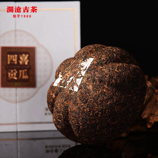 澜沧古茶2021年55周年四喜贡瓜（三季）春億金瓜1000g 商品图3