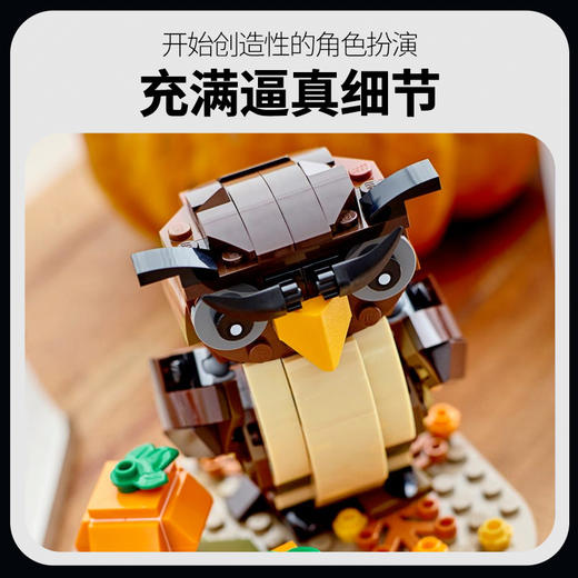 乐高万圣节猫头鹰40497 商品图2