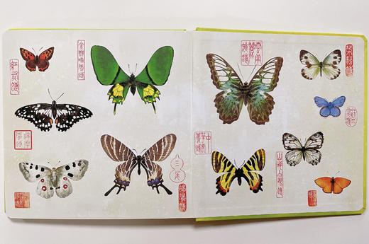 蝴蝶你要去哪里 ——点虫虫系列 商品图6