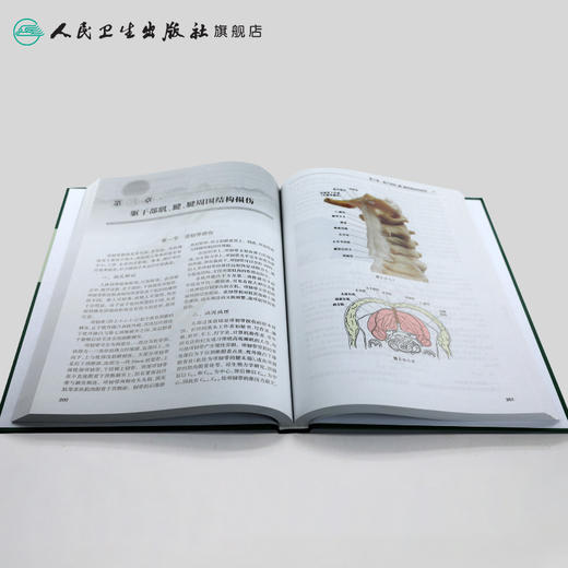 针刀医学基础与临床·肌损伤、周围神经卡压分册 商品图4