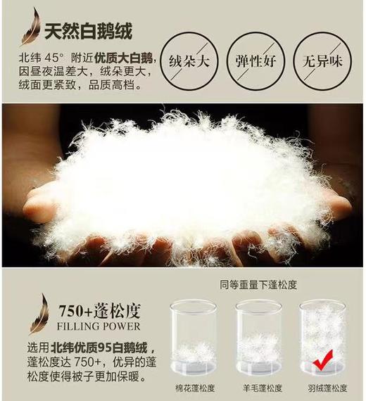【恐龙厅】B7 丨F恐龙N11D柔赛丝95%白鹅绒被厚 商品图4