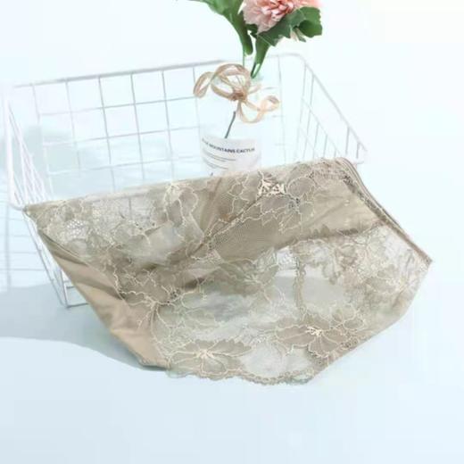 【列维斯蕾丝】安莉芳专柜新品内裤女薄款通透低腰三角裤E300365 商品图2