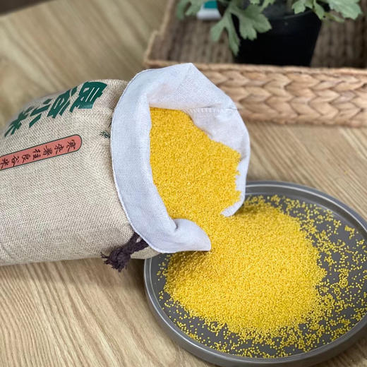 沂蒙山良谷小米 商品图11