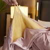 限量仅8斤规格有货【黄金蚕丝被】-CSYP 商品缩略图3