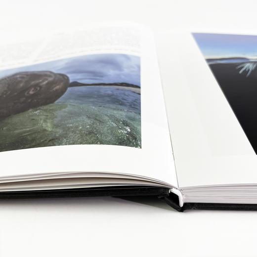 【疯爸推荐】万物有灵：国际野生生物摄影年赛第51届获奖作品 动物摄影自然摄影艺术书籍 商品图12