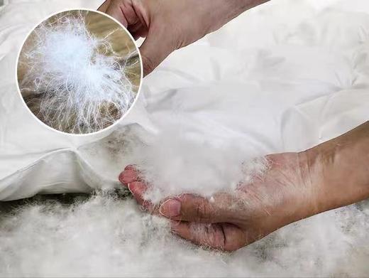 【恐龙厅】B7 丨F恐龙N11D柔赛丝95%白鹅绒被厚 商品图1