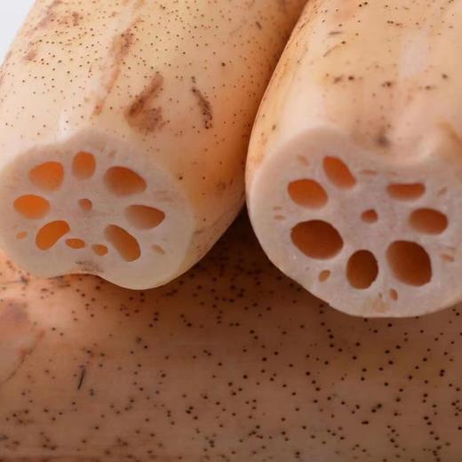 洪湖粉藕5斤装 约4-6根左右 （带泥发货） 商品图9