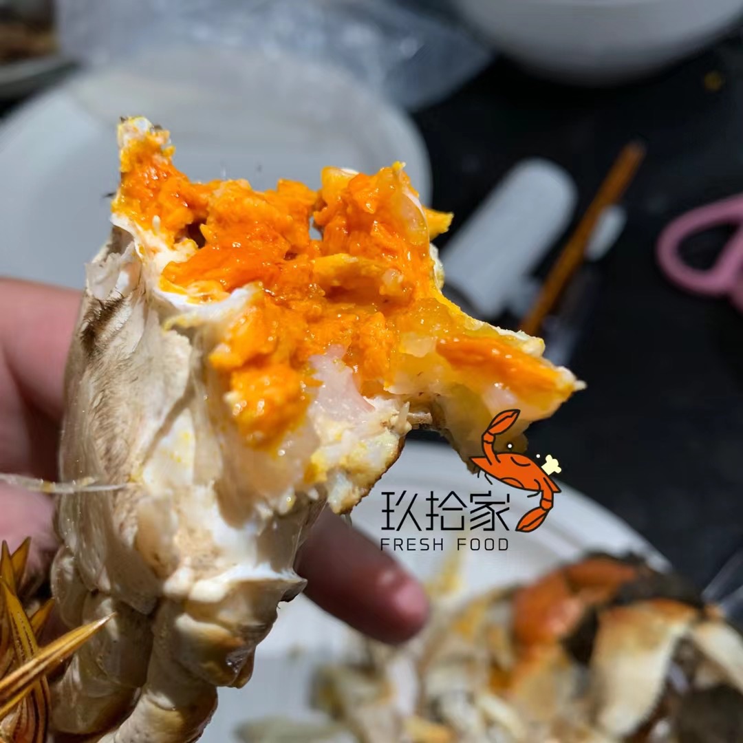 2021红膏大闸蟹「单只」