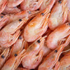 虾青素极高，头籽率90%以上的即食北极甜虾，来自格陵兰岛海域 商品缩略图9