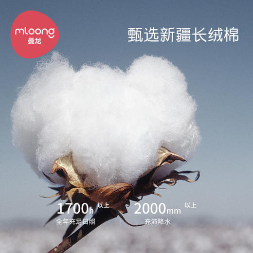 曼龙湿纸巾婴儿擦屁屁加厚湿巾80抽*5包 商品图4