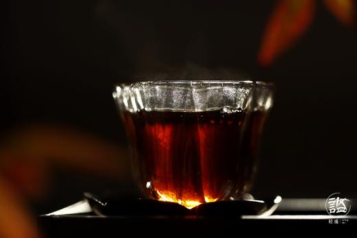 2007年南糯山·老熟普 --- 垕土 商品图4