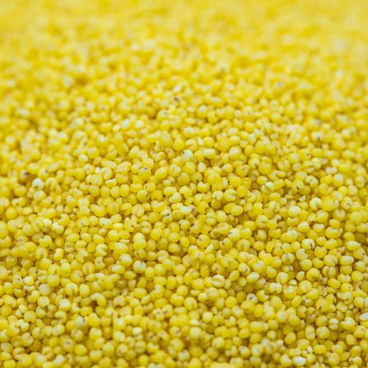 金灿灿小米 |  金黄透亮 粒粒分明 颗粒饱满无杂质 粘稠软糯 米香浓郁 营养健康 商品图5